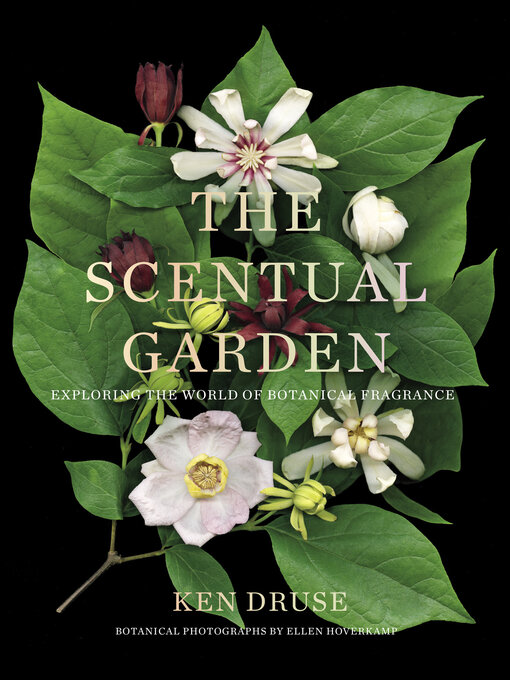 Title details for The Scentual Garden by Ken Druse - Available